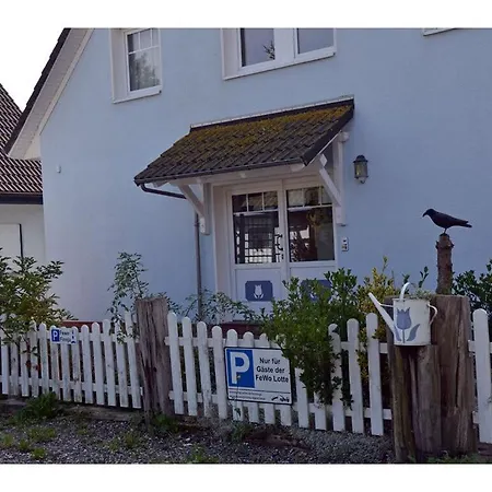 Lotte Comfortable * غلوفي